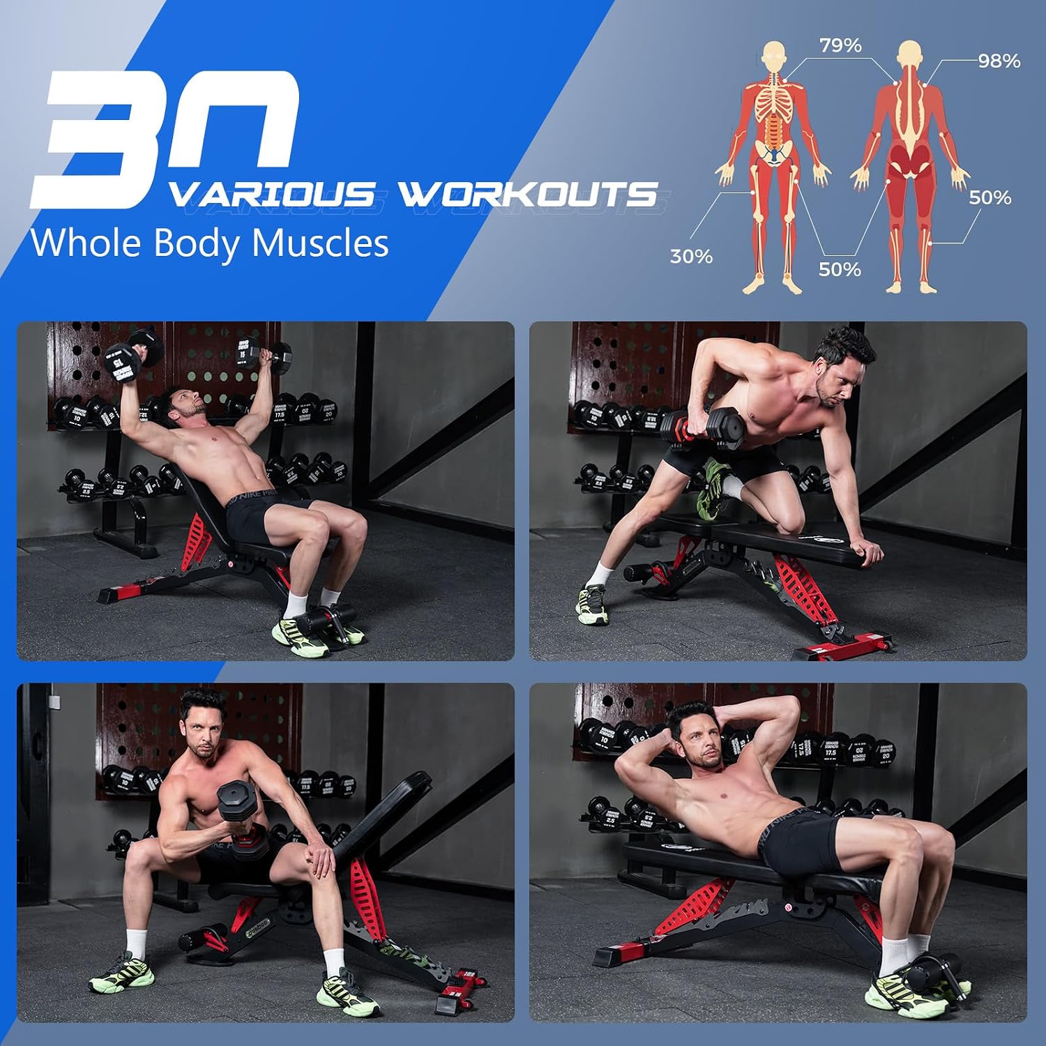 조절 가능한 웨이트 벤치, 1500 LBS FID 벤치 - Home Gym Multi 리뷰 및 가격